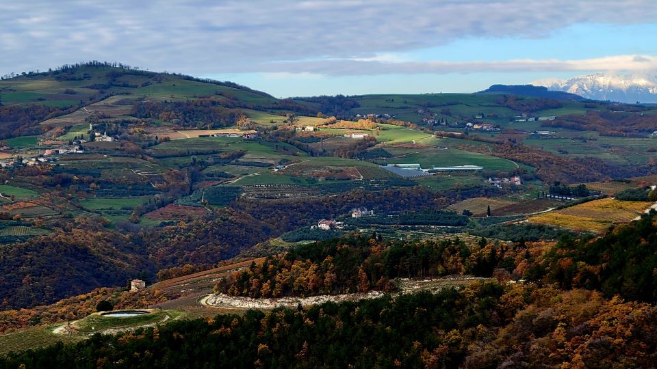 elite-wines-ca-la-bionda-press