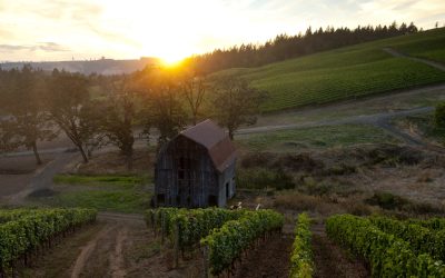 Colene Clemens estate vineyard and winery, Yamhill-Carlton, Willamette Valley, Oregon