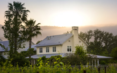 elite-wines-press-larkmead-cabernet-consolidation