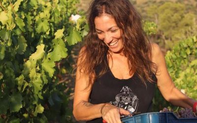 elite-wines-press-sara-martinet